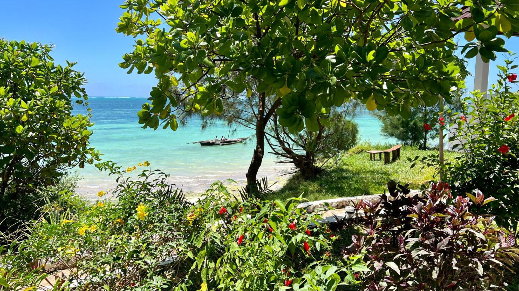 Z-Lodge Zanzibar Kiwengwa  Exterior photo